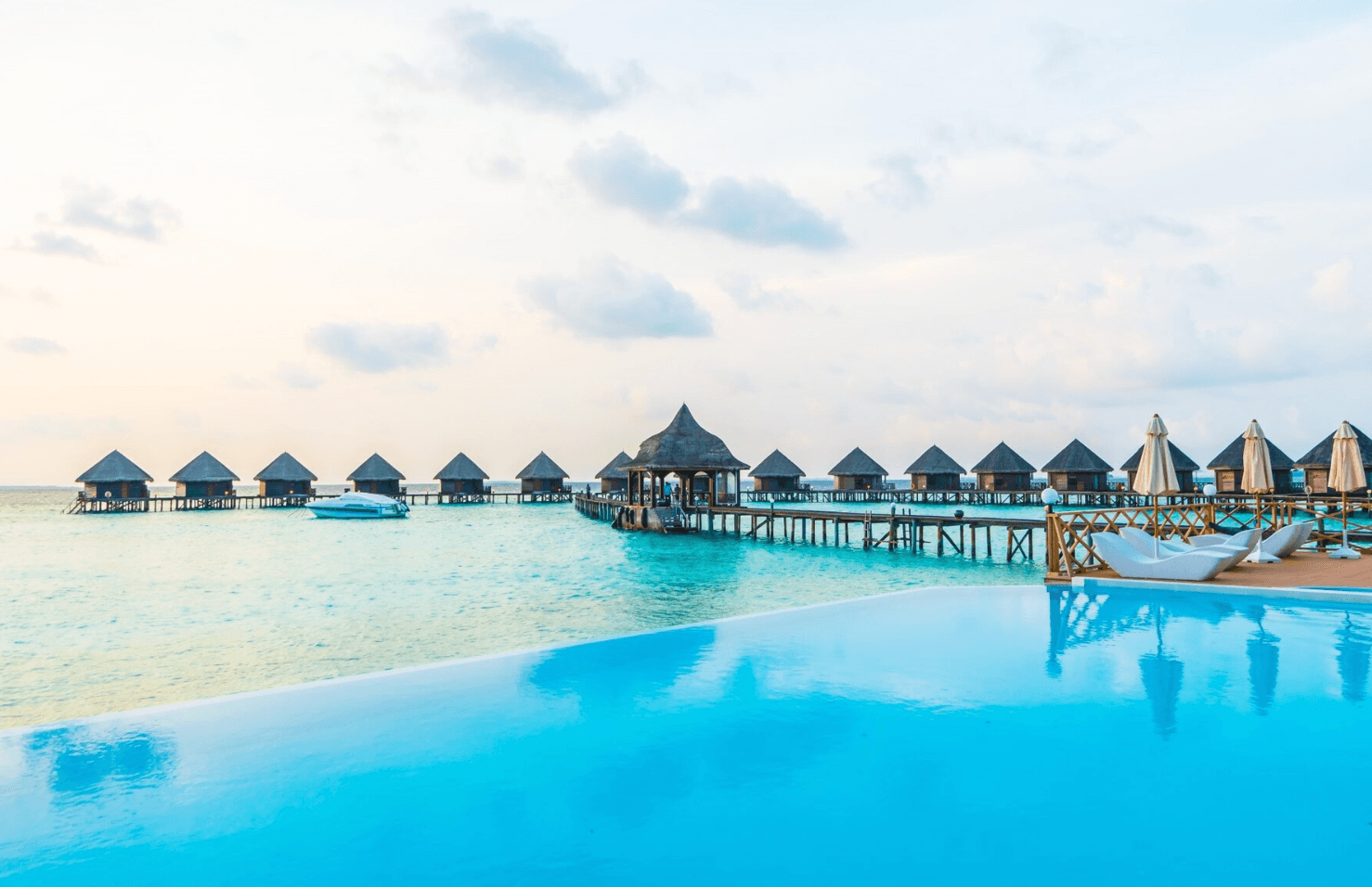 Lathabird Maldives 1.png